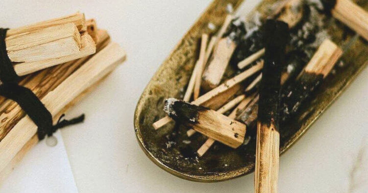 SPOTLIGHT ON PALO SANTO:  This Spiritual Wood Is All About Good Vibes