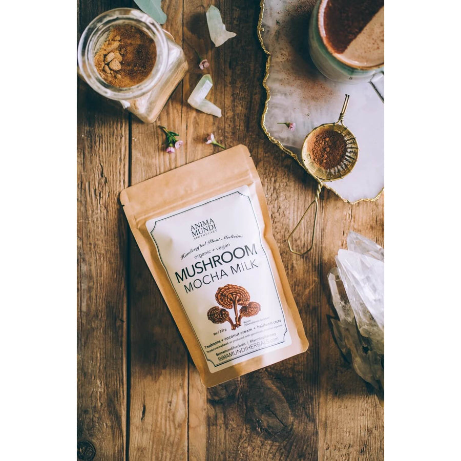 ANIMA MUNDI Mushroom Mocha Milk-Supplements-Luvi Beauty & Wellness